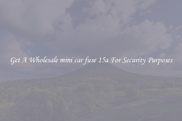 Get A Wholesale mini car fuse 15a For Security Purposes