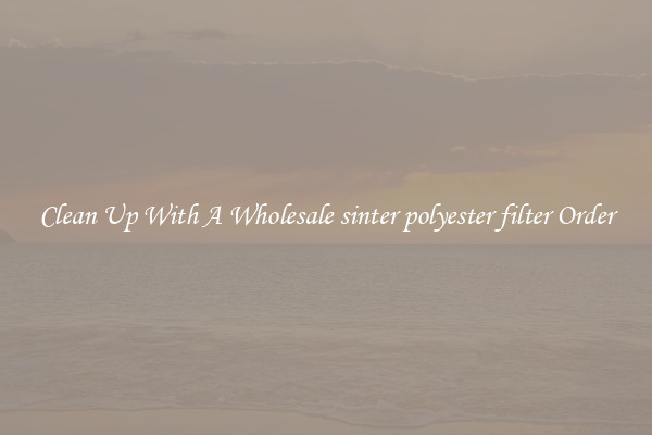 Clean Up With A Wholesale sinter polyester filter Order
