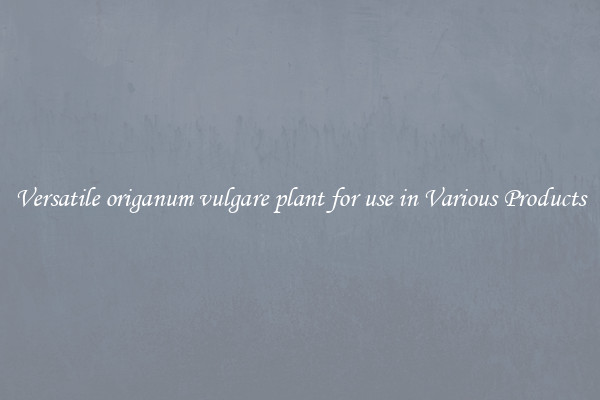 Versatile origanum vulgare plant for use in Various Products