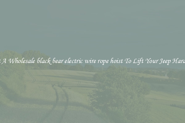 Get A Wholesale black bear electric wire rope hoist To Lift Your Jeep Hardtop