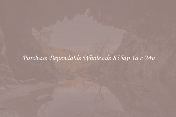 Purchase Dependable Wholesale 855ap 1a c 24v