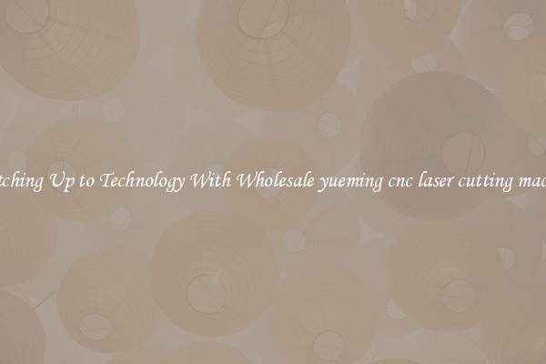 Matching Up to Technology With Wholesale yueming cnc laser cutting machine