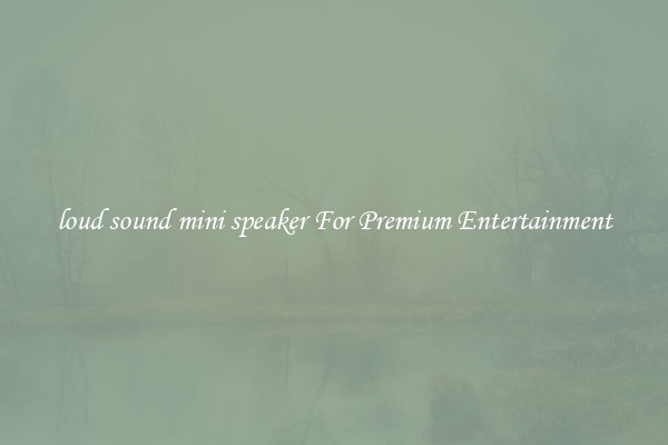 loud sound mini speaker For Premium Entertainment